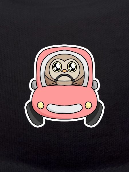 Eule Auto