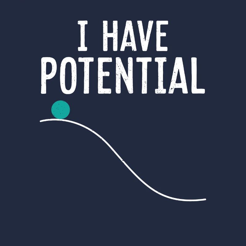 Physics Physicist Potential Teacher Funny Gift
