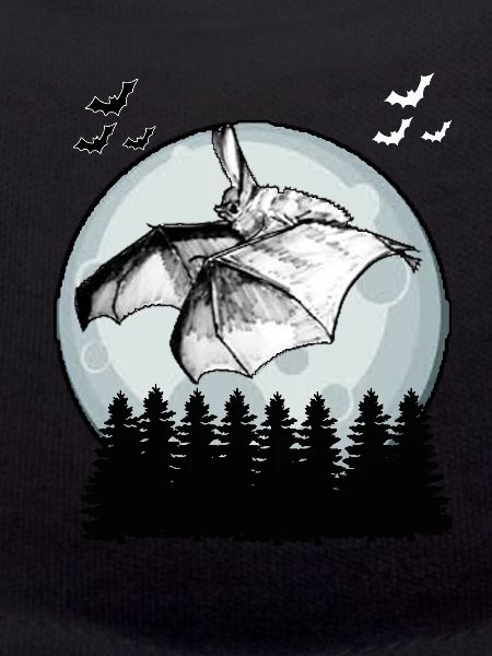 Fledermaus