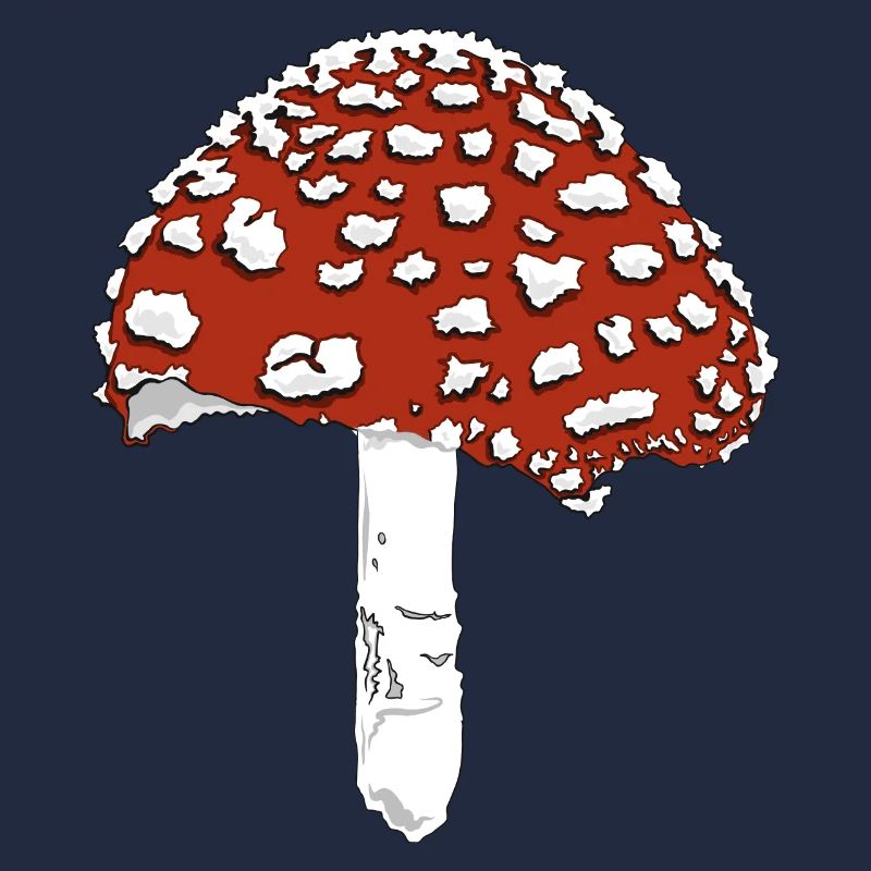 Toadstool toadstool amanita