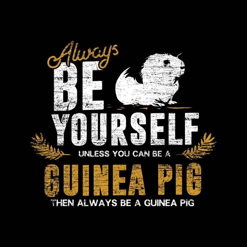 Guinea pig gift