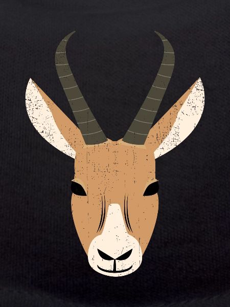 Springbock