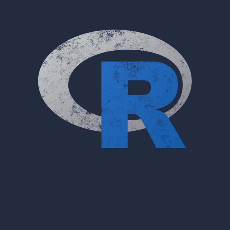 R Logo Programmierung Vintage Distressed Design