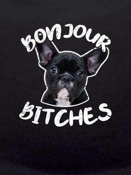French bulldog