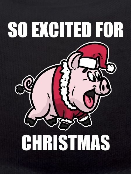 Cochon noël