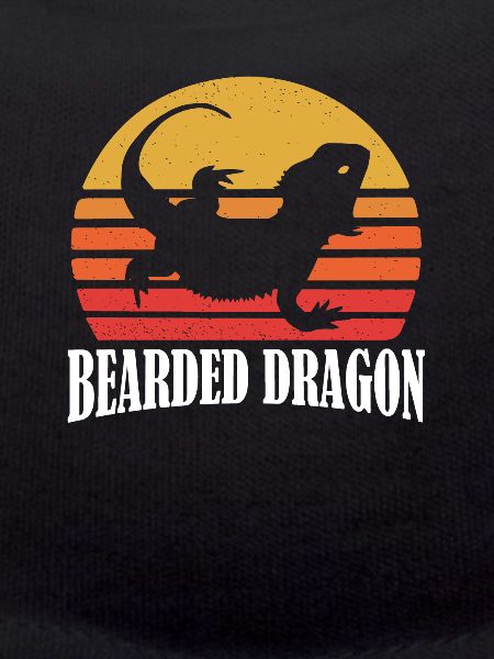 Bearded Dragon