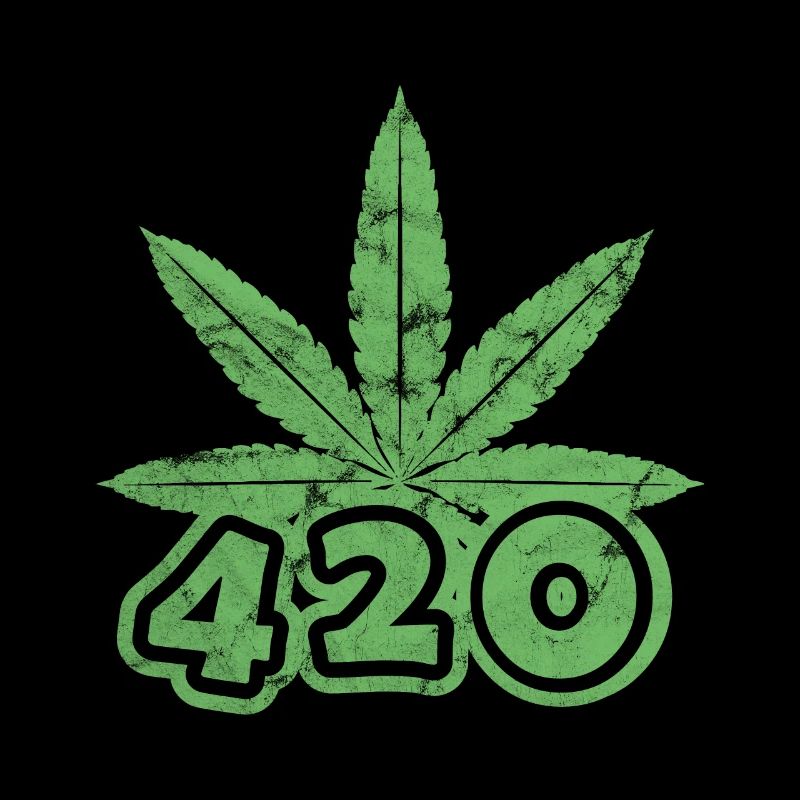420 feuilles de cannabis