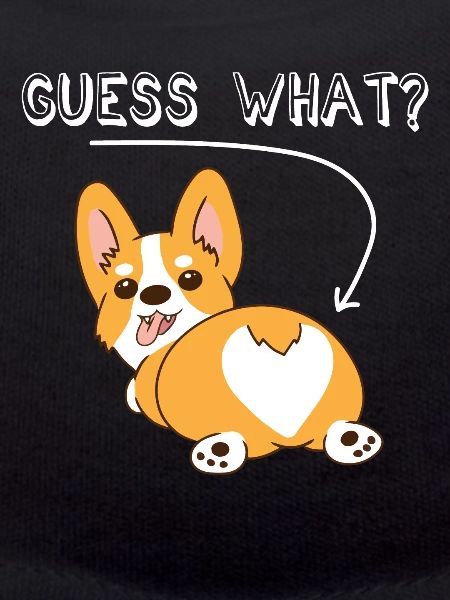 Corgi