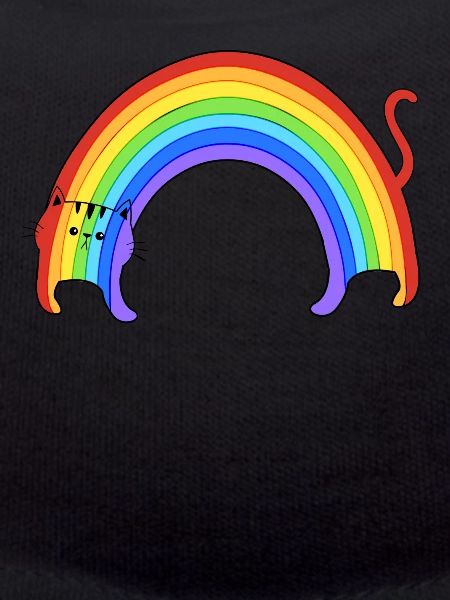 Rainbow Cat