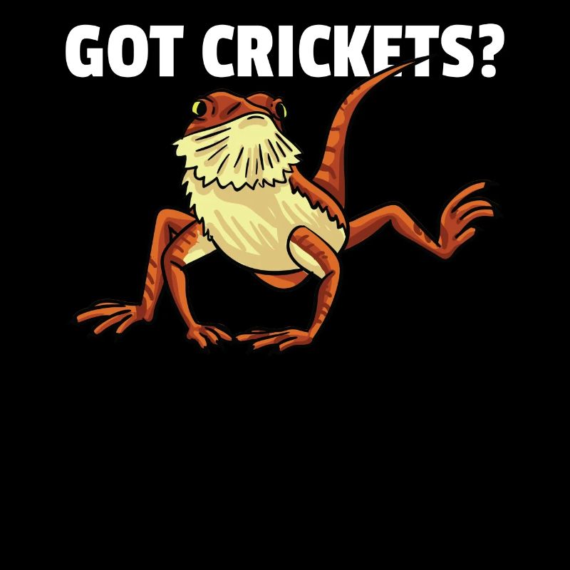 Bearded Dragon Beard Dragon Lizard Reptile