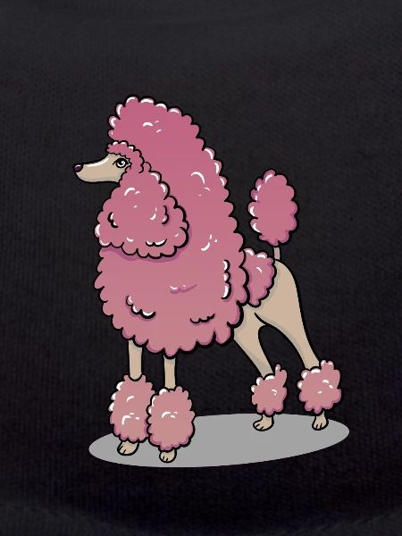 Poodle