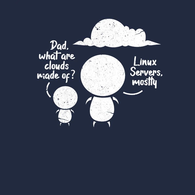 Développeur Logiciel Programmeur Logiciel Linux