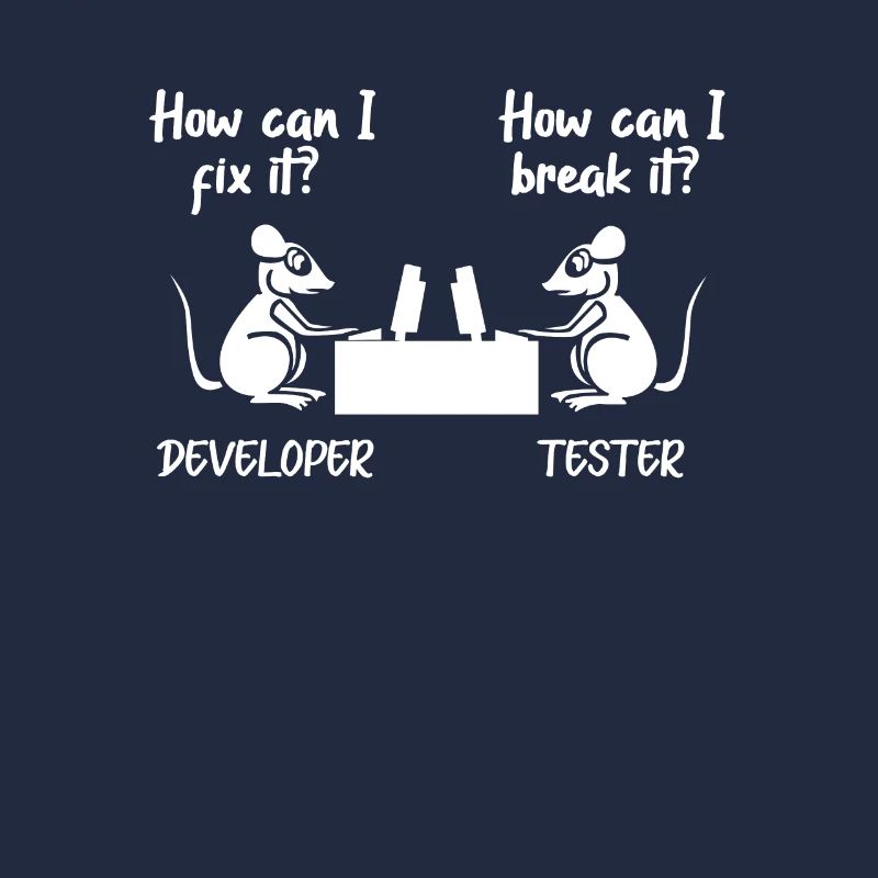 Softwareentwickler Programmierer Software