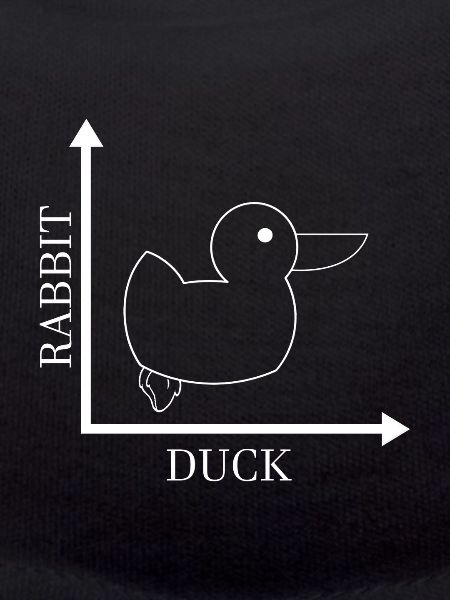 Rabbit Duck - Gone Wrong