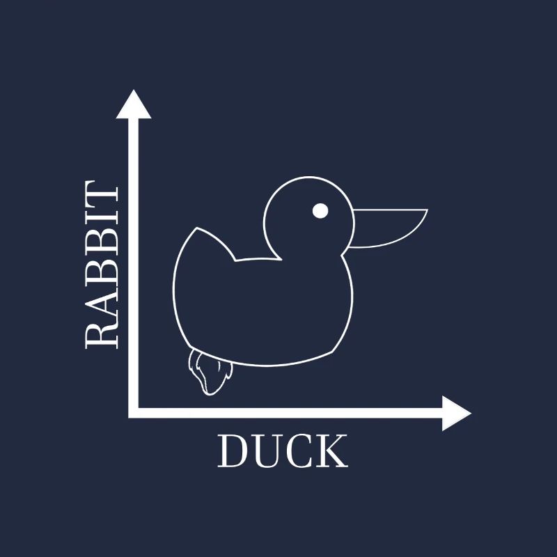 Rabbit Duck - Gone Wrong