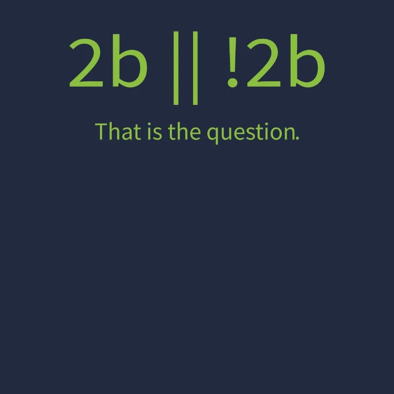 2b lustiger cooler Programmierer sein oder nicht sein