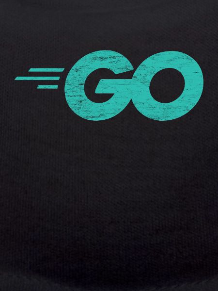 Go-Programmiersprache mit Go-Logo in Not