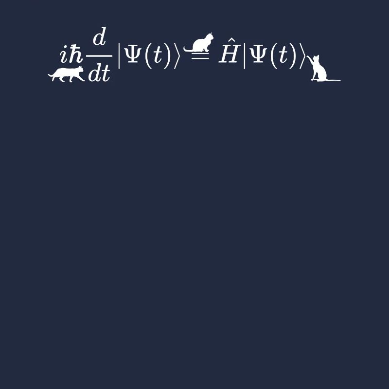 Schrodinger cats math and physics formula equation