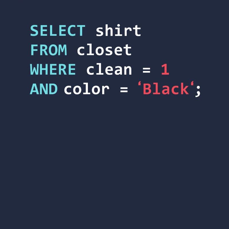 Programmeur Datanbank Funny SQL Query