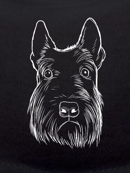 Scottish Terrier Dog