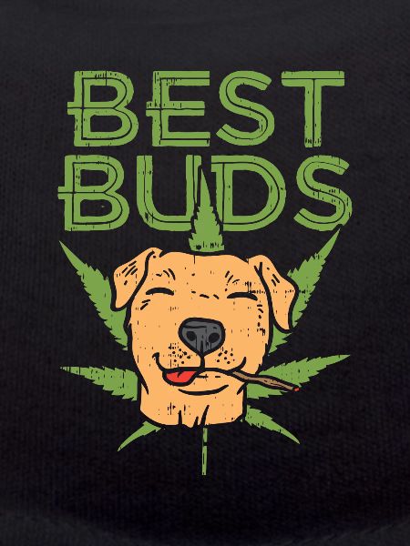 Bester Kumpel - Pitbull Shirt