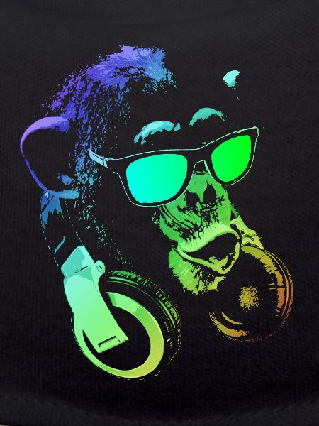 Monkey DJ
