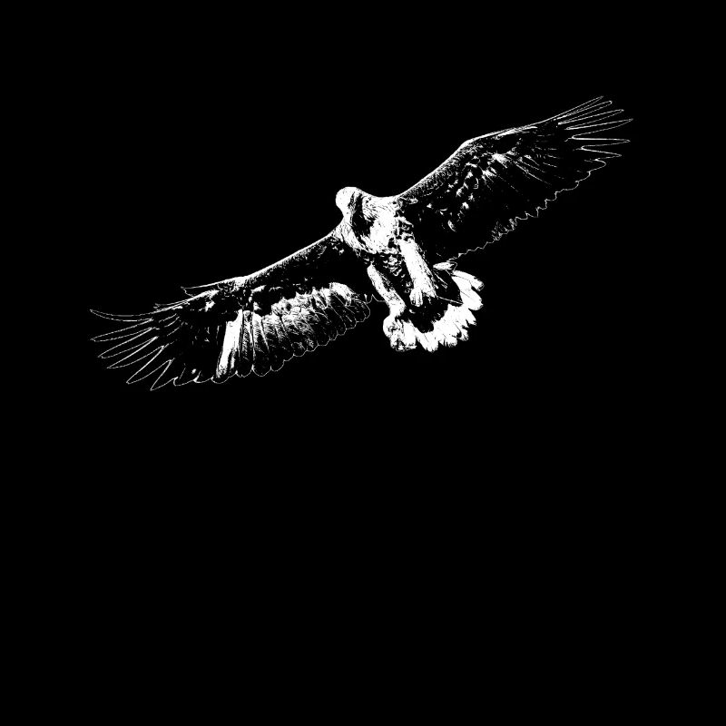 Aigle blanc
