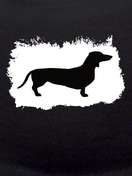 dachshund