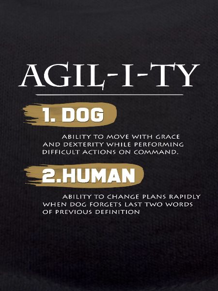 Agility dog training