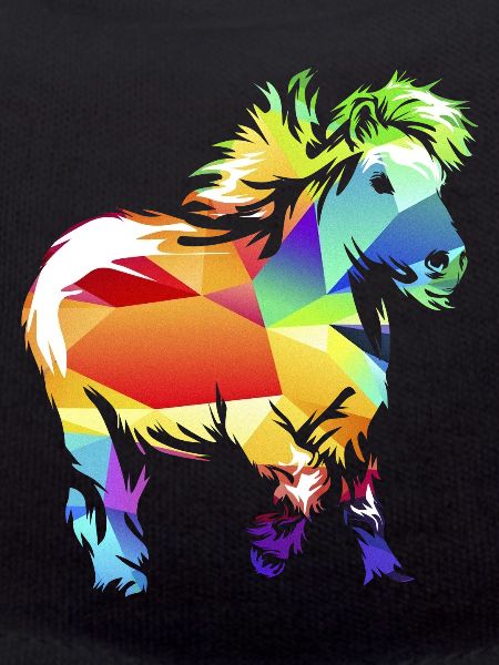 Shetlandpony