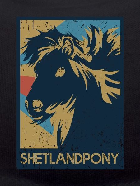 Shetland pony