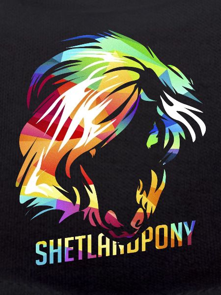 Shetland pony