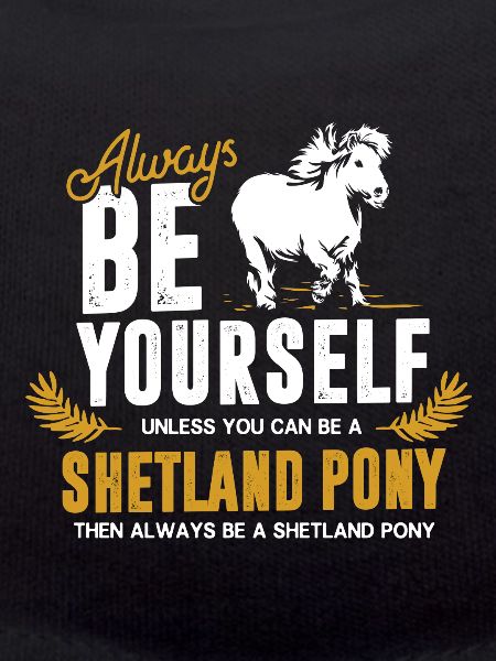 Shetland pony