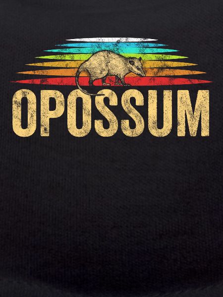 possum