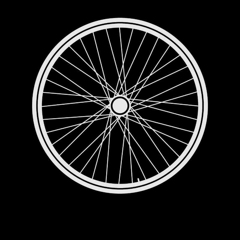 Bicycle wheel spokes aluminum rims gift idea