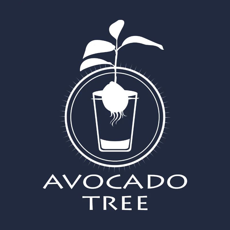 Avocado sapling