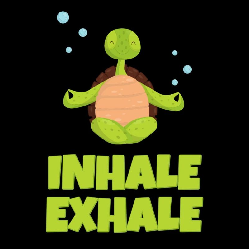 Meditating Turtle
