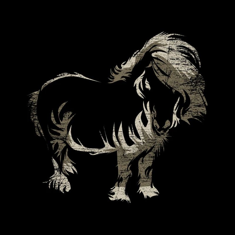 Shetlandpony Geschenk
