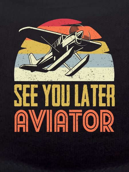 Pilot aviation