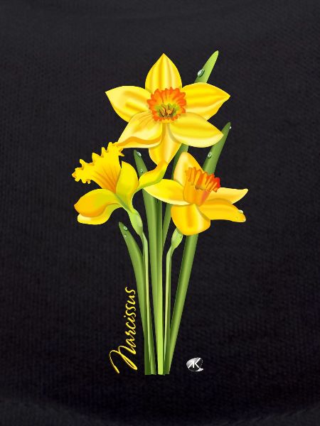 Yellow daffodils illustration
