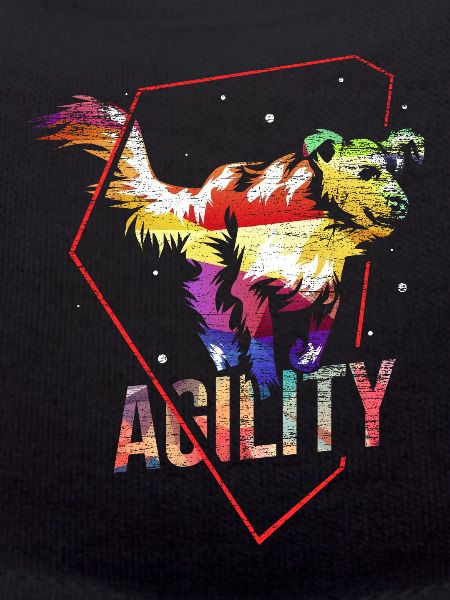 Dog agility gift