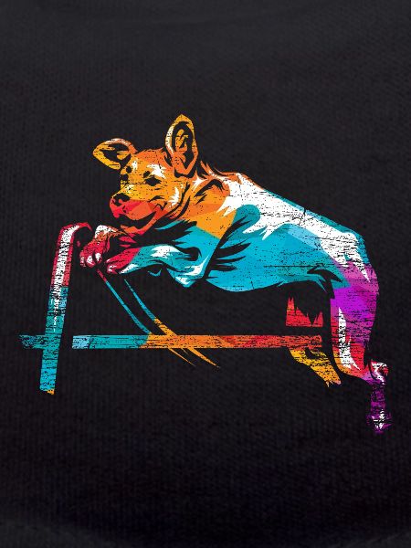 Dog agility gift