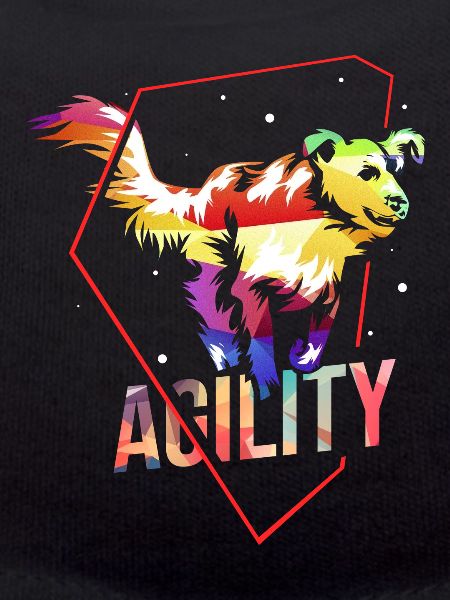 Dog agility