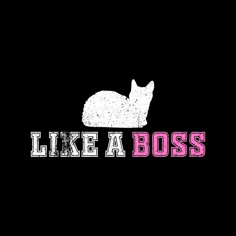 like a boss katze kätzchen kitty cat
