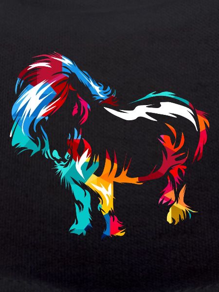 Shetlandpony Geschenk