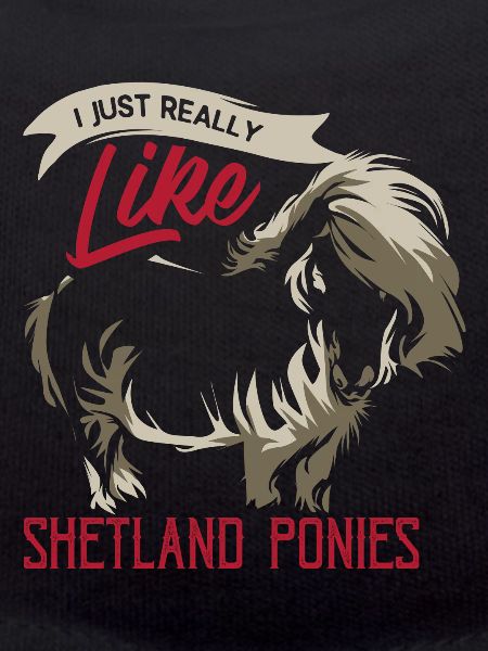 Shetland pony