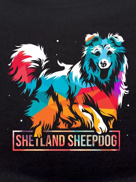 Shetland sheepdog