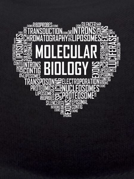 Molecular Biology Heart
