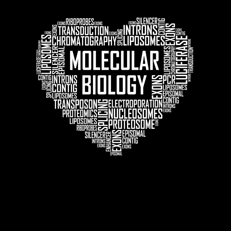 Molekularbiologie Herz