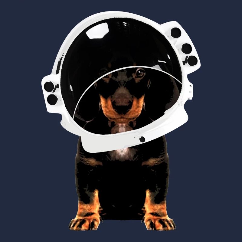 Hund - Dackel Astronaut Kosmonaut Raumfahrer